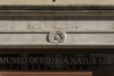 Museo civico di storia naturale