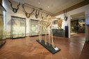 Museo civico di storia naturale