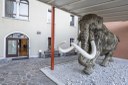 Museo civico di storia naturale