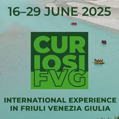 CuriosiFVG 2025