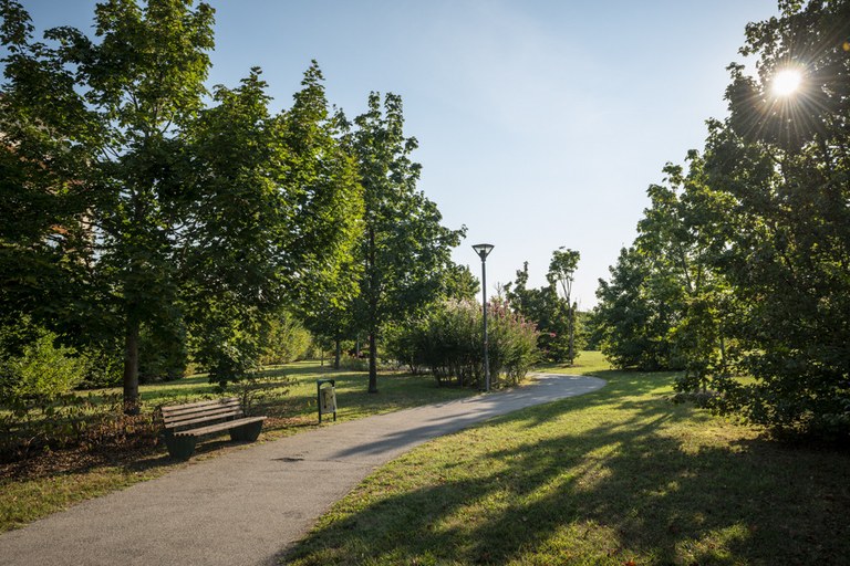 Parco Cimolai_viale