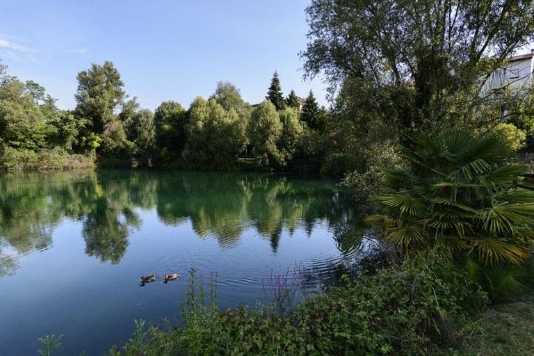 Parco San Carlo_fauna acquatica