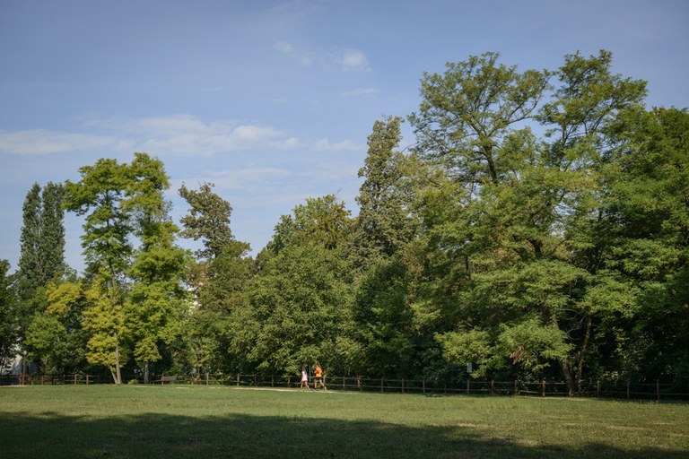 Parco di San Valentino_alberi