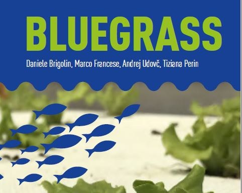 Anteprima immagine libro